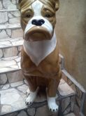 Cachorro Boxer Em gesso 72cm